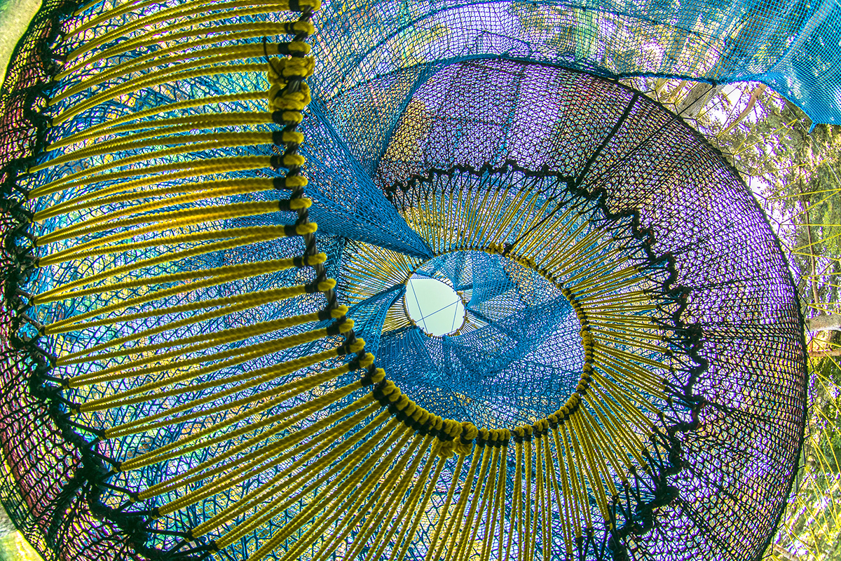 animation dans les arbres