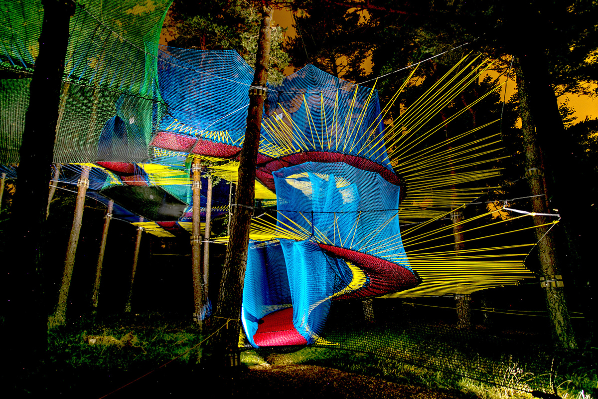 animation dans les arbres