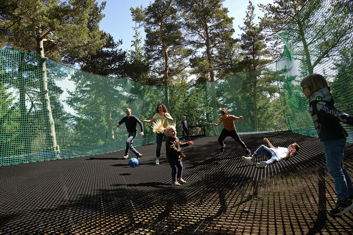 animation dans les arbres