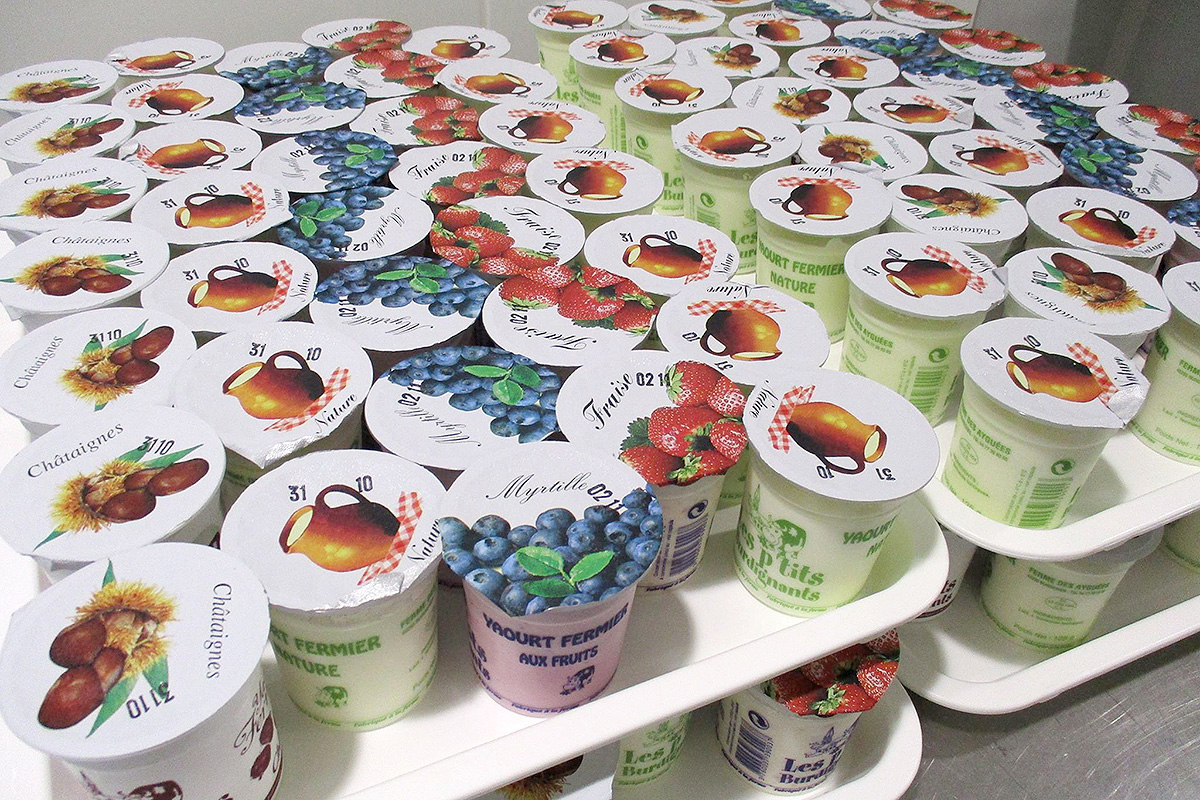 yaourts