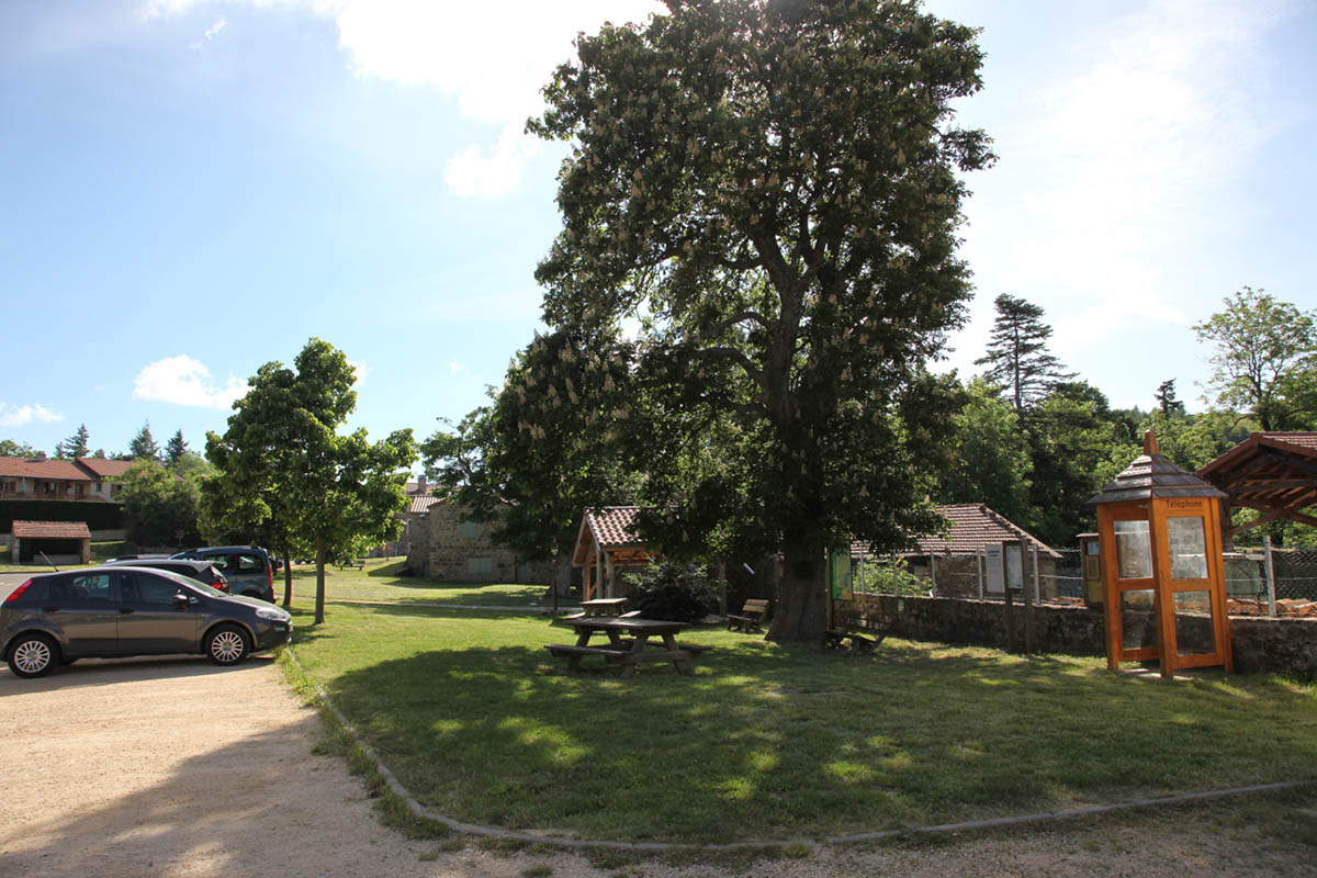 table de pique-nique